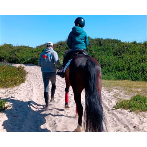 Passeio a Cavalo na Praia do Furadouro | Equi São João - Aveiro