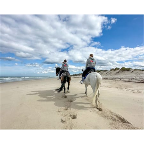 Passeio a Cavalo Romântico na Praia do Furadouro (47 caracteres)