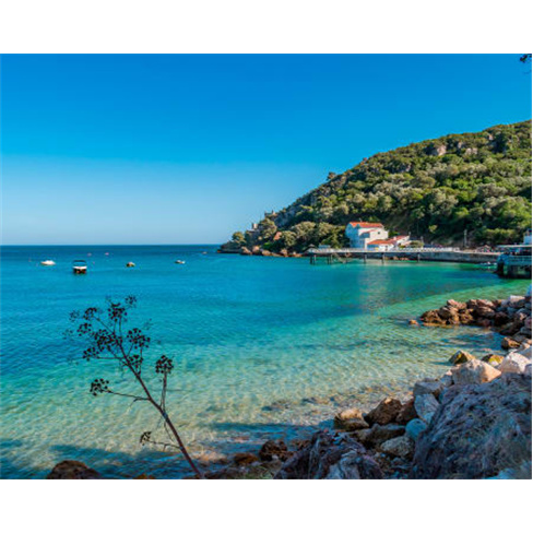 Costa da Arrábida: Golfinhos e Degustação | Até 6 PessoasnCaracteres: 53