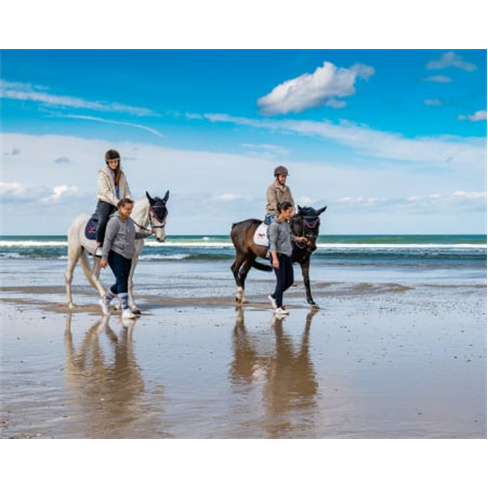 Passeio a Cavalo Romântico + Sessão Fotográfica Exclusiva para Casal