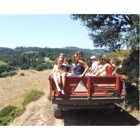 Vumba - Arganil | Escapadinha em Agroturismo em Quinta Tradicional 1 Noite