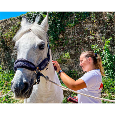 Passeio a Cavalo na Praia do Furadouro | Equi São João - Aveiro