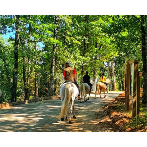 Parque Biológico de Vinhais para Dois em Bragança Parque + Passeio a Cavalo