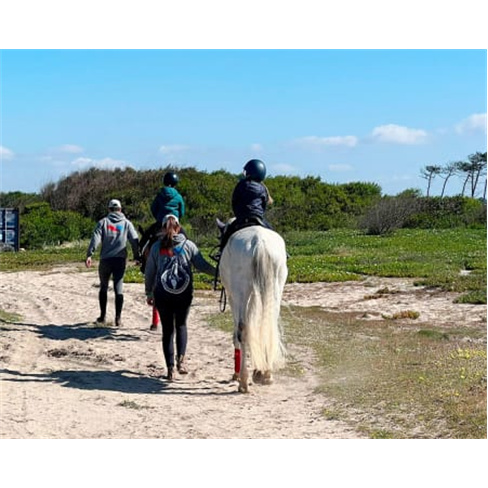 Passeio a Cavalo na Praia do Furadouro | Equi São João - Aveiro