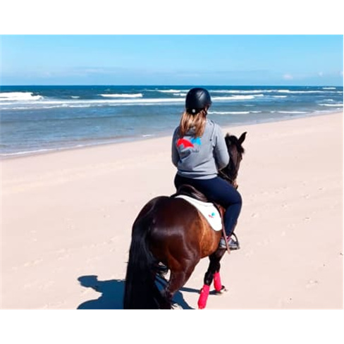 Passeio a Cavalo Romântico na Praia do Furadouro (47 caracteres)