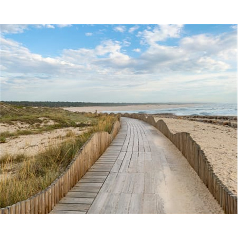 Passeio a Cavalo na Praia do Furadouro | Equi São João - Aveiro