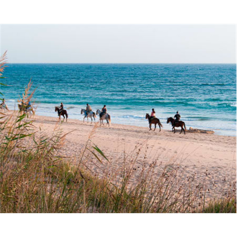 Passeio a Cavalo na Praia do Furadouro | Equi São João - Aveiro