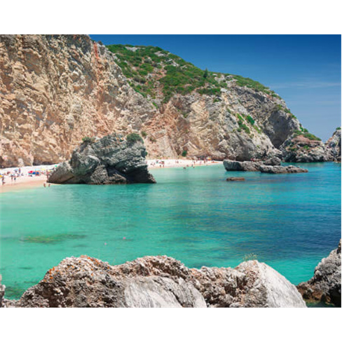 Costa da Arrábida: Golfinhos e Degustação | Até 6 PessoasnCaracteres: 53