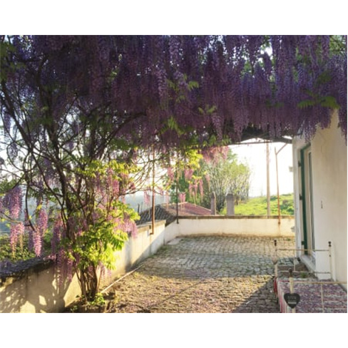 Vumba - Arganil | Escapadinha em Agroturismo em Quinta Tradicional 1 Noite