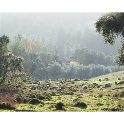 Vumba - Arganil | Estadia Rural 2 NoitesnnEste título tem 34 caracteres.