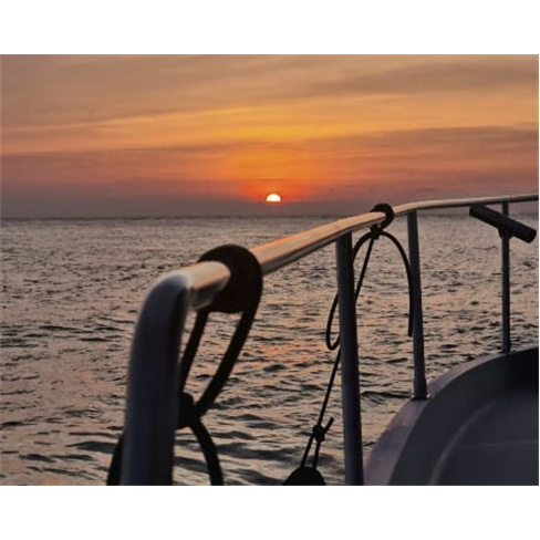 Passeio de Barco Privado no Douro: 6 Pontes ou Pôr do Sol | Leçaodouro