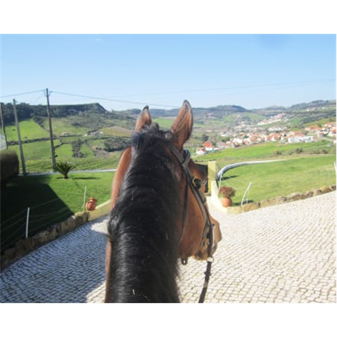 Passeio Romântico a Cavalo para Dois na Quintinha dos Cavalosnn(57 caracteres