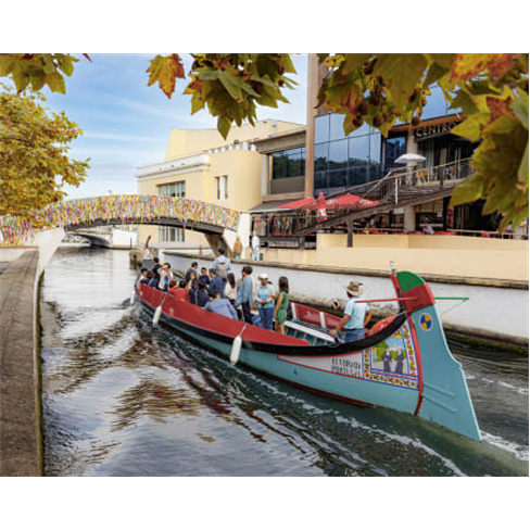 Passeio de Barco Moliceiro em Aveiro: Promoção Bilhete Sénior.