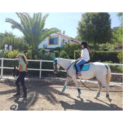 Batismo a Cavalo ou Passeio Romântico a Cavalo na Quintinha dos Cavalos.