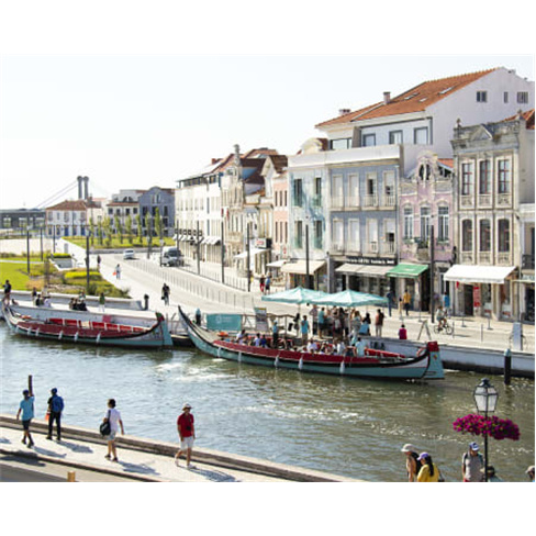 Passeio de Barco Moliceiro em Aveiro: Promoção Bilhete Sénior.