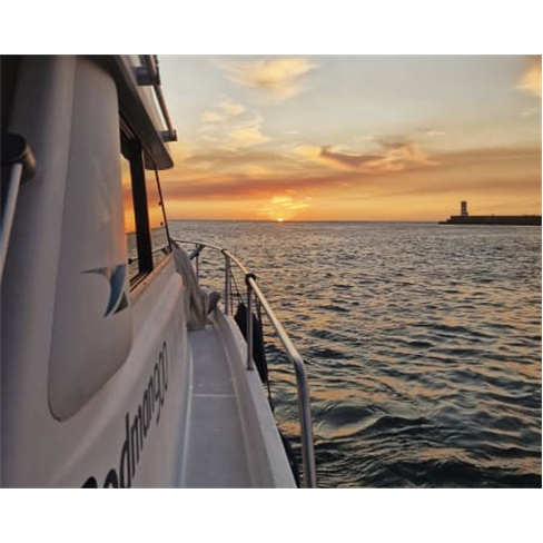 Passeio de Barco no Douro: Pontes, Vinho ou Pôr do Sol.