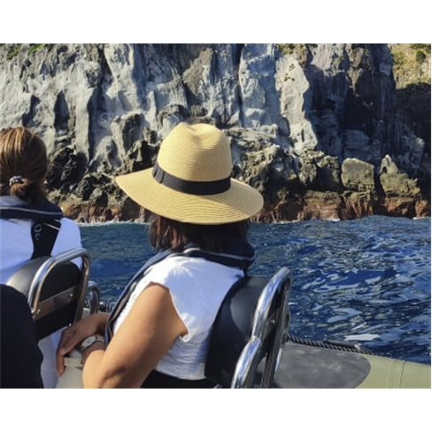 Ocean Safari: Passeio de Barco em São Miguel c/ Observação de Vida Marinha Se