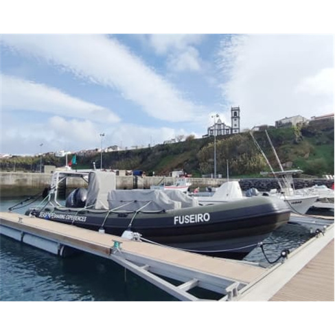 Ocean Safari: Passeio de Barco em São Miguel c/ Observação de Vida Marinha Se