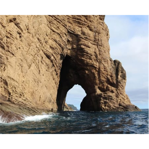 Ocean Safari: Passeio de Barco em São Miguel c/ Observação de Vida Marinha Se