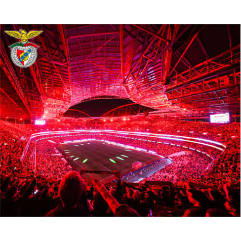 SL BENFICA | Visita Estádio & Museu by Night + Bilhete FamílianCaracteres: 57
