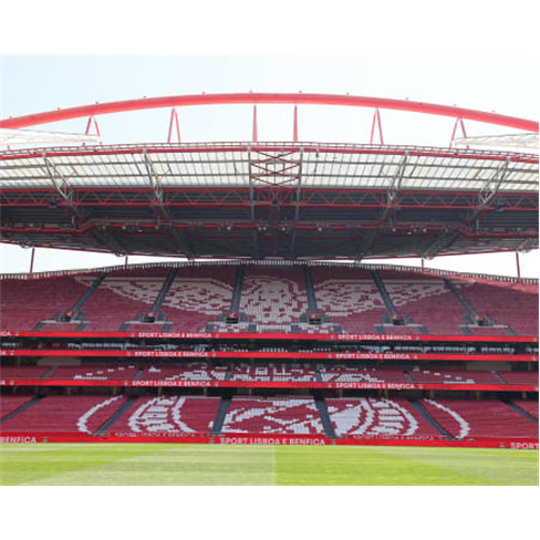 SL BENFICA | Visita Estádio & Museu by Night + Bilhete FamílianCaracteres: 57