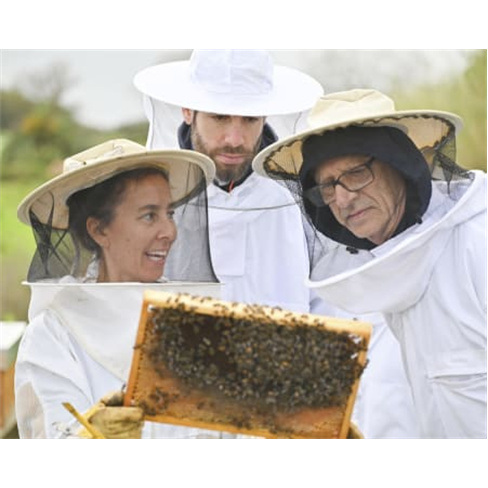 Passeio Guiado à Escolha | Azorean Tales - São Miguel Bee Inspired