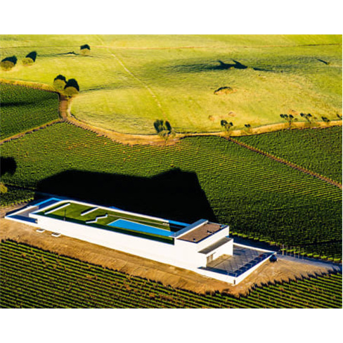Visita à Adega Mayor & Prova de Vinhos | Campo Maior Visita + Prova de Vinhos