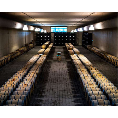 Visita à Adega Mayor & Prova de Vinhos | Campo Maior Visita + Prova de Vinhos +