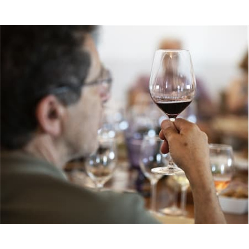 Visita à Adega Mayor & Prova de Vinhos | Campo Maior Visita + Prova de Vinhos +
