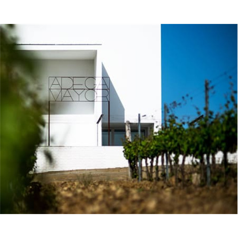 Visita à Adega Mayor & Prova de Vinhos | Campo Maior Visita + Prova de Vinhos
