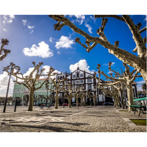 Passeio Guiado à Escolha | Azorean Tales - São Miguel Bee Inspired