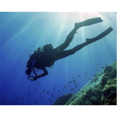 Batismo de Mergulho | Angra do Heroísmo | Terceira Adventures Batismo de Mergul