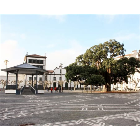 Passeio Guiado à Escolha | Azorean Tales - São Miguel Bee Inspired