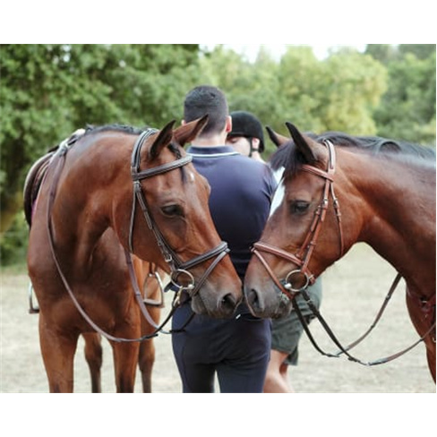 Batismo Equestre ou Passeio Privado + Piquenique | Equus Otium - Guimarães Bati
