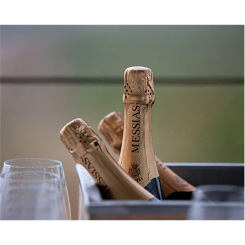 Visita Guiada às Caves Messias & Prova de Vinhos para Dois | Mealhada Visita Gu