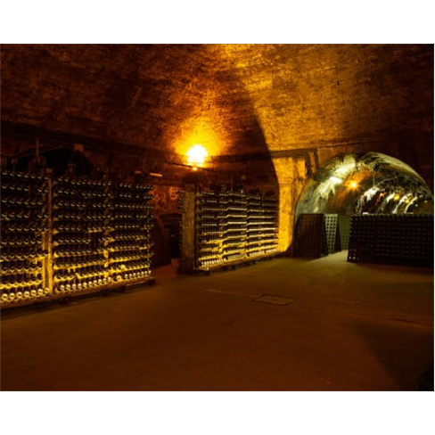 Visita Guiada às Caves Messias & Prova de Vinhos para Dois | Mealhada Visita Gu