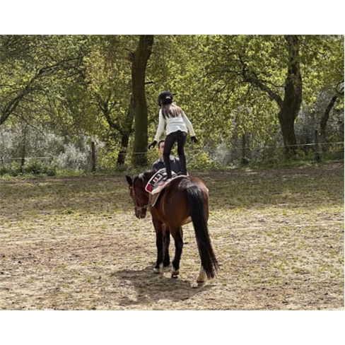 Batismo Equestre ou Passeio Privado + Piquenique | Equus Otium - Guimarães Bati