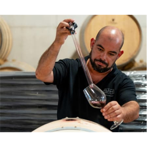 Visita à Adega Mayor & Prova de Vinhos | Campo Maior Visita + Prova de Vinhos