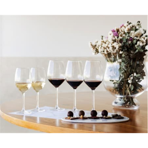 Visita à Adega Mayor & Prova de Vinhos | Campo Maior Visita + Prova de Vinhos +