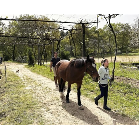 Batismo Equestre ou Passeio Privado + Piquenique | Equus Otium - Guimarães Bati