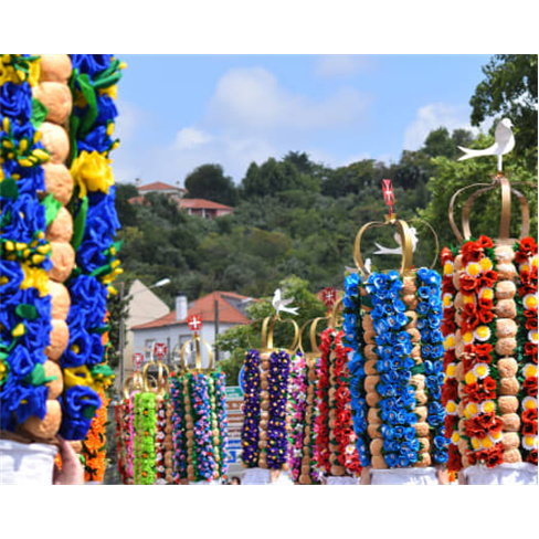 Walking Tour | Visita Guiada ao Convento & Centro Histórico + Atividades | Ench