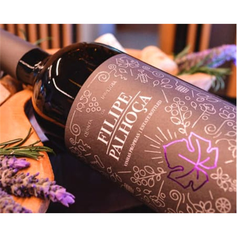 Visita às Vinhas e Adega + Prova de Vinhos para Dois | Filipe Palhoça Vinhos -
