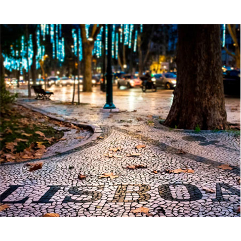 Passeio a Pé Privado + Vinho Verde e Pastel de Nata | Inside Lisbon | Lisboa