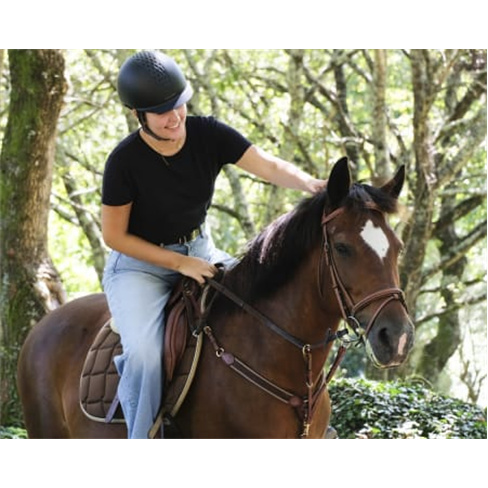 Batismo Equestre ou Passeio Privado + Piquenique | Equus Otium - Guimarães Bati