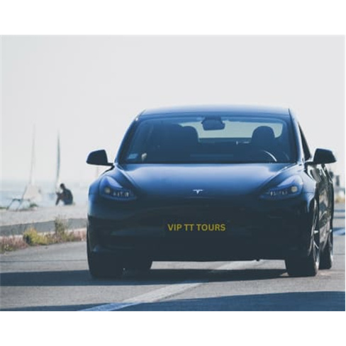 Tour Diurna ou Motorista Privado | Tesla ou Mercedes | Vip TT Tours - Lisboa Tou