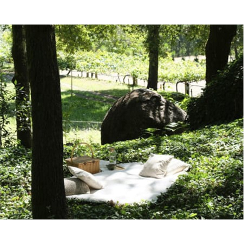 Batismo Equestre ou Passeio Privado + Piquenique | Equus Otium - Guimarães Bati
