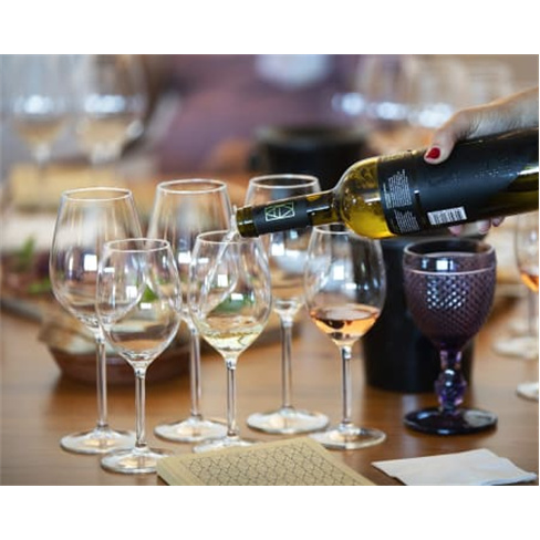 Visita à Adega Mayor & Prova de Vinhos | Campo Maior Visita + Prova de Vinhos +