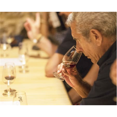 Descubra Caves Poças: Visita Guiada & 4 Provas de Vinhos do Porto à escolha