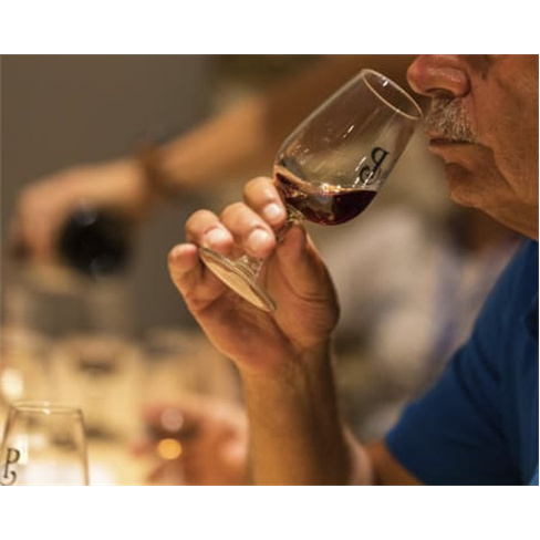 Descubra Caves Poças: Visita Guiada & 4 Provas de Vinhos do Porto à escolha