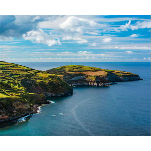 Observação de Baleias & Golfinhos nos Açores | Bilhete Criança & Adulto | Pi